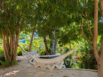 Deux hamacs blancs tissés offrent un lieu de repos serein au-dessus d'un étang tranquille, niché dans un jardin tropical luxuriant avec un sentier sablonneux.