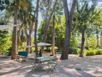 Espace extérieur aménagé avec tables et chaises en métal vert sur un sol de gravier. De grands palmiers et arbres matures procurent de l'ombre, agrémentés de parasols et guirlandes lumineuses dans un cadre tropical.