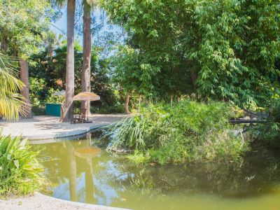 Étang paisible dans un jardin tropical luxuriant, reflétant de grands arbres et le ciel bleu. Une berge sablonneuse propose une chaise longue en bois et un parasol à franges pour la détente.