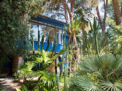 Jardin tropical luxuriant avec palmiers variés et grands cactus, encadrant un bâtiment bleu moderne aux larges fenêtres et tuiles en terre cuite. Une chaise longue en bambou invite à la détente.
