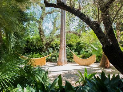 Jardin tropical luxuriant avec un hamac tressé clair, suspendu entre un palmier et un arbre à large tronc. Un sentier de gravier serpente à travers le feuillage vibrant, baigné de lumière naturelle.