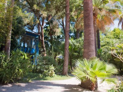 Un chemin de gravier sinueux traverse un jardin tropical dense, bordé de divers palmiers et d'un feuillage luxuriant. Une maison bleue vive avec de grandes fenêtres est partiellement visible, baignée de lumière.