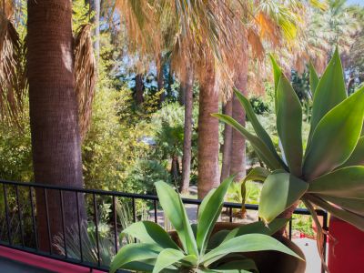 Vue de balcon sur un jardin tropical luxuriant avec de hauts palmiers et des agaves verts en pot. La balustrade en métal noir est accentuée par une base rouge distinctive.