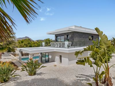 Vue de la piscine chauffée de 12x4 mètres avec sa couverture électrique intégrée, bordée de vastes terrasses et du jardin paysager.