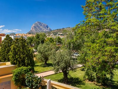 Vue depuis la terrasse sur les jardins communautaires bien entretenus avec des oliviers, un sentier pavé et l'imposant Montgó sous un ciel bleu clair.
