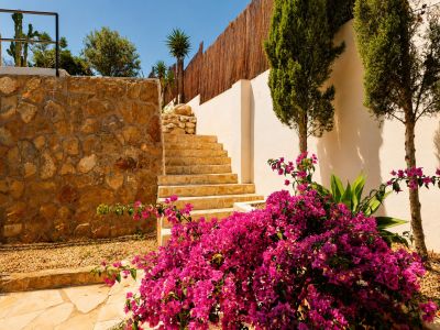 Des marches en pierre montent entre un mur de pierre naturelle rustique et un mur de stuc blanc, bordées par un bougainvillier vif et de minces cyprès.