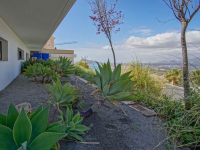Le jardin latéral présente de grands agaves sur gravier foncé, bordant une façade blanche avec fenêtres sombres. Il offre des vues panoramiques sur la mer et les montagnes lointaines.