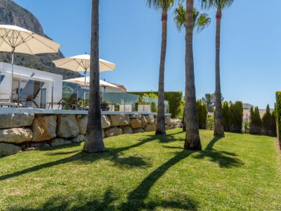 Vaste pelouse verdoyante bordée de palmiers matures, menant à une terrasse moderne avec balustrade en verre, chaises longues et parasols, adossée à un mur de pierre naturelle et vue sur la montagne.