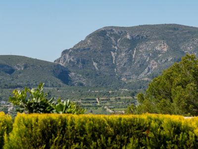 Vues panoramiques sur la chaîne de montagnes du Montgó et la vallée luxuriante, encadrées par une végétation méditerranéenne vive sous un ciel bleu clair.