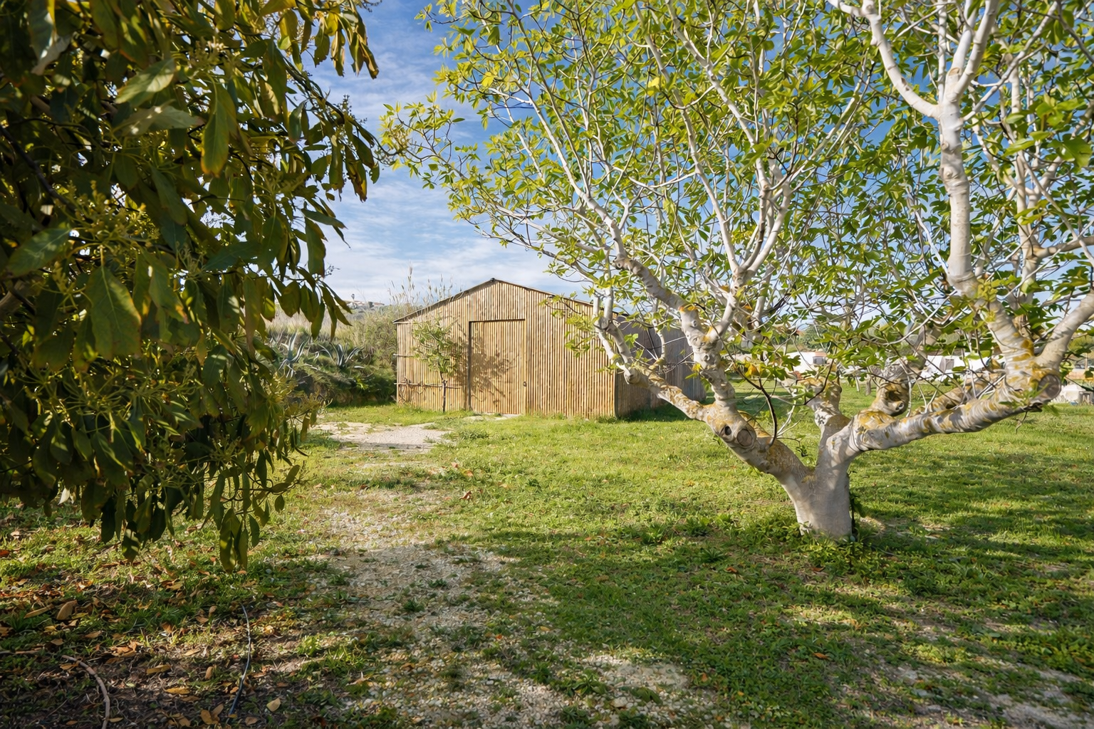 Bâtiment de rangement rustique en bois avec toit à pignon, situé sur un terrain herbeux avec un chemin de gravier et des arbres fruitiers. Bâtiment de rangement rustique en bois avec toit à pignon, situé sur un terrain herbeux avec un chemin de gravier et des arbres fruitiers.