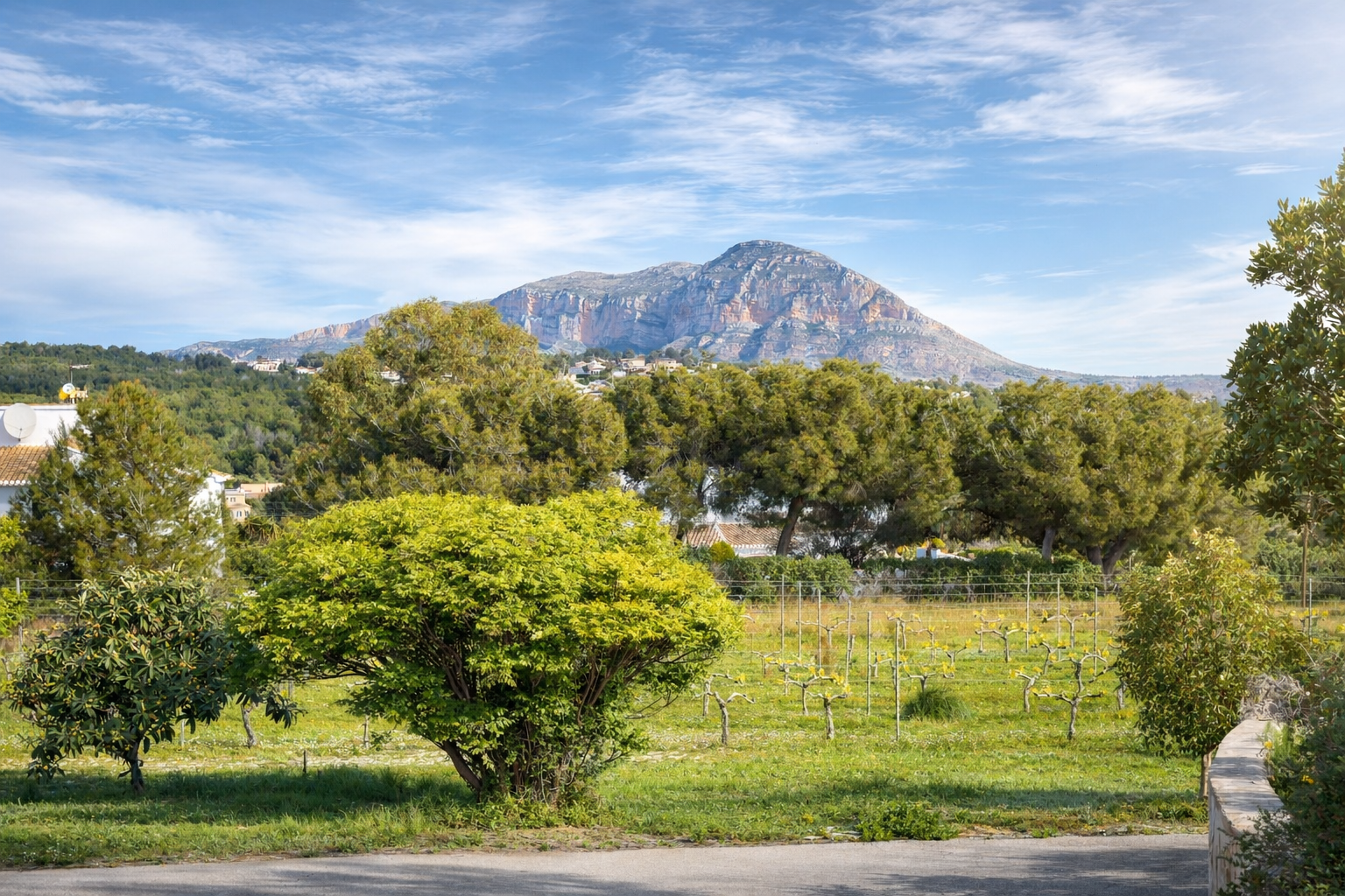 Vue panoramique sur la campagne avec des vignobles au premier plan, des arbres luxuriants et le Montgó majestueux sous un ciel bleu clair. Vue panoramique sur la campagne avec des vignobles au premier plan, des arbres luxuriants et le Montgó majestueux sous un ciel bleu clair.