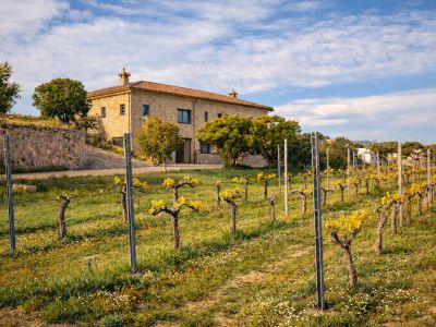 Finca rustique en pierre avec toit de tuiles, encadrée par un vignoble aux jeunes feuilles jaunes et fleurs sauvages sous un ciel bleu.