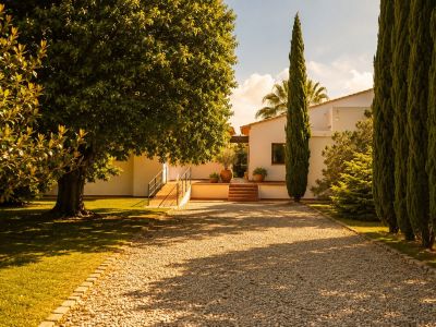 Allée de gravier menant à la maison principale méditerranéenne blanche, bordée d'un grand arbre feuillu et d'une rangée de cyprès élancés, avec des marches en terre cuite et une rampe d'accès.
