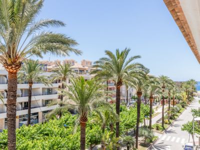 Vue depuis la terrasse sur l'Avenida de la Paz bordée de palmiers, avec des bâtiments urbains, une végétation luxuriante et la mer Méditerranée au loin.