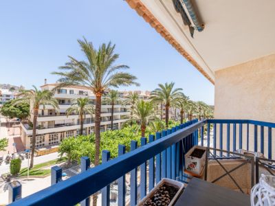 Vue depuis le balcon privé avec balustrade bleue, donnant sur une avenue animée bordée de palmiers et d'immeubles résidentiels sous un ciel dégagé.