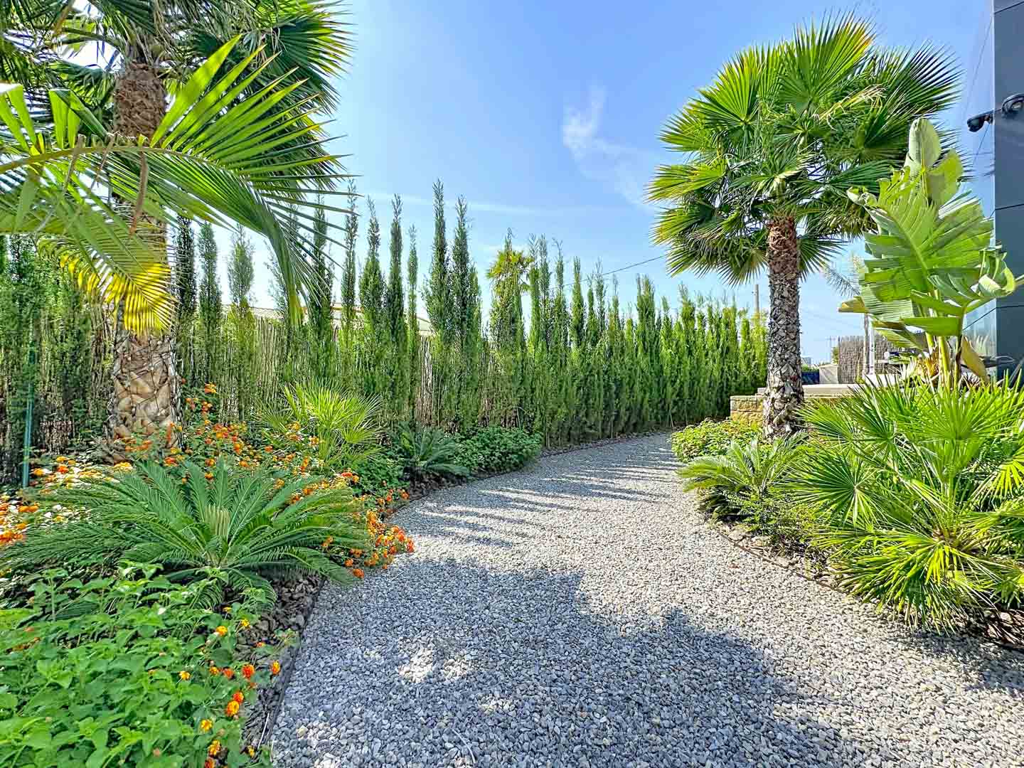 Sentier de gravier sinueux bordé de végétation tropicale luxuriante, de palmiers et de hautes haies, menant à la façade moderne de la villa.
