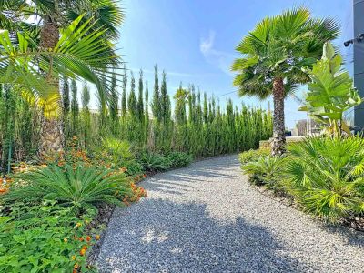 Sentier de gravier sinueux bordé de végétation tropicale luxuriante, de palmiers et de hautes haies, menant à la façade moderne de la villa.
