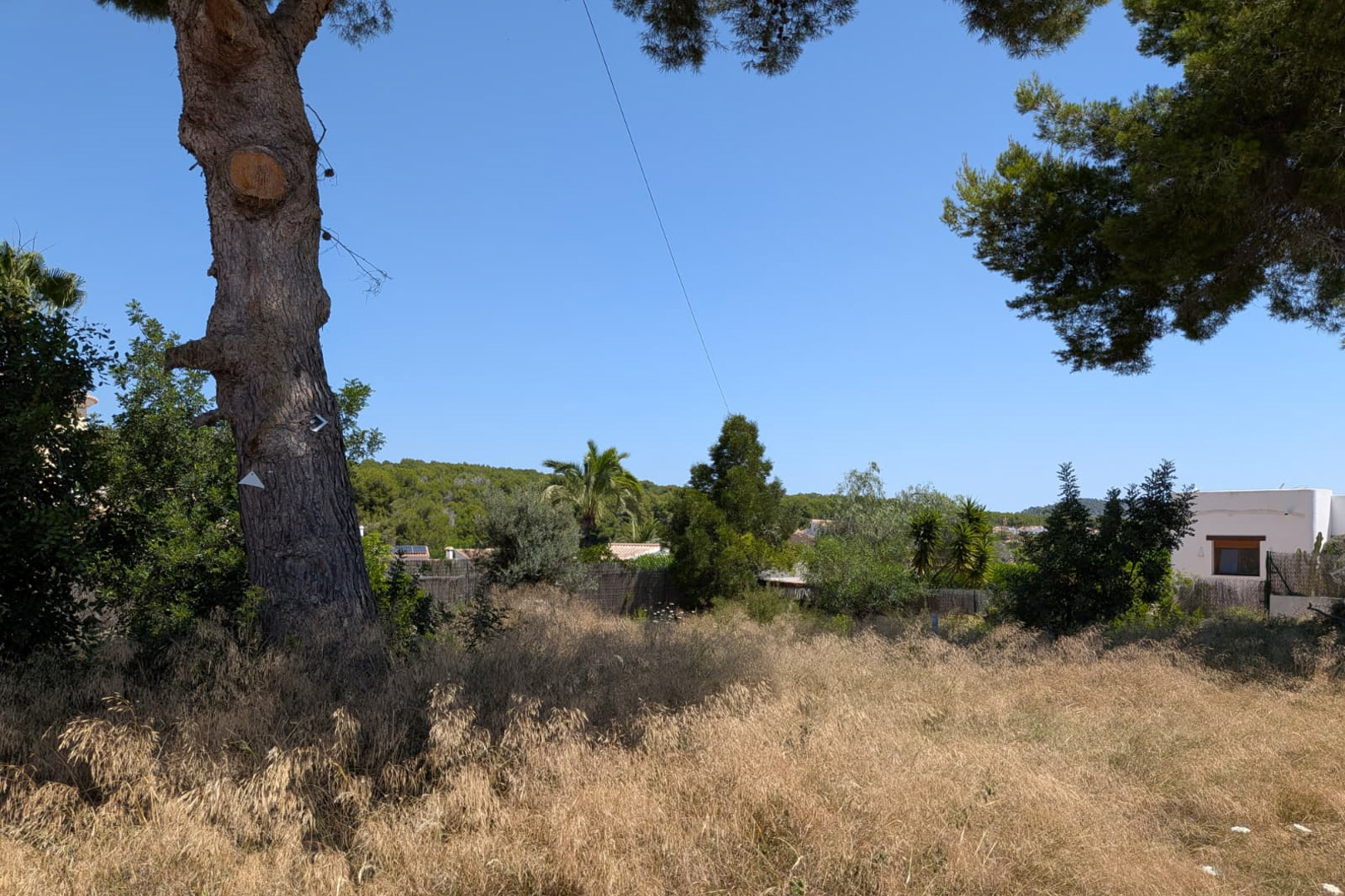 Parcelle avec herbe sèche dorée et un grand tronc d'arbre. Végétation méditerranéenne et un bâtiment blanc lointain sont visibles sous un ciel bleu clair. Parcelle avec herbe sèche dorée et un grand tronc d'arbre. Végétation méditerranéenne et un bâtiment blanc lointain sont visibles sous un ciel bleu clair.