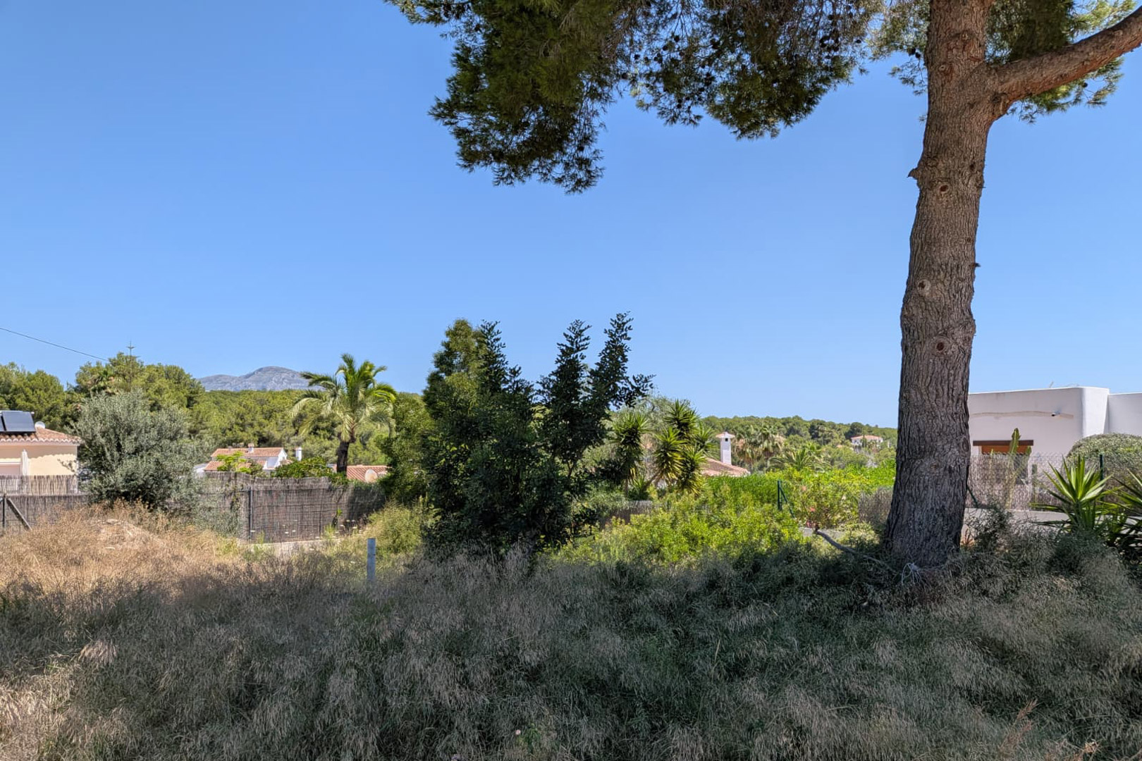 Terrain non aménagé avec herbe sèche et un tronc d'arbre proéminent. On y voit une végétation méditerranéenne variée, des toits résidentiels lointains, une chaîne de montagnes et un ciel bleu clair. Terrain non aménagé avec herbe sèche et un tronc d'arbre proéminent. On y voit une végétation méditerranéenne variée, des toits résidentiels lointains, une chaîne de montagnes et un ciel bleu clair.