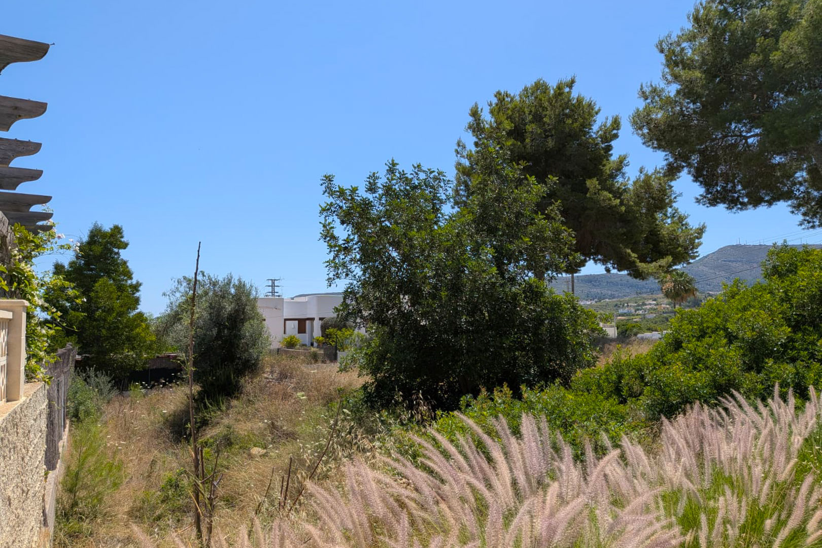 Vue de la parcelle non aménagée avec végétation méditerranéenne naturelle, herbes plumeuses au premier plan et une résidence blanche lointaine sous un ciel bleu et des montagnes. Vue de la parcelle non aménagée avec végétation méditerranéenne naturelle, herbes plumeuses au premier plan et une résidence blanche lointaine sous un ciel bleu et des montagnes.