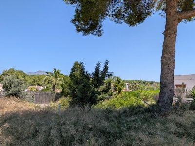 Terrain non aménagé avec herbe sèche et un tronc d'arbre proéminent. On y voit une végétation méditerranéenne variée, des toits résidentiels lointains, une chaîne de montagnes et un ciel bleu clair.