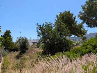 Vue de la parcelle non aménagée avec végétation méditerranéenne naturelle, herbes plumeuses au premier plan et une résidence blanche lointaine sous un ciel bleu et des montagnes.