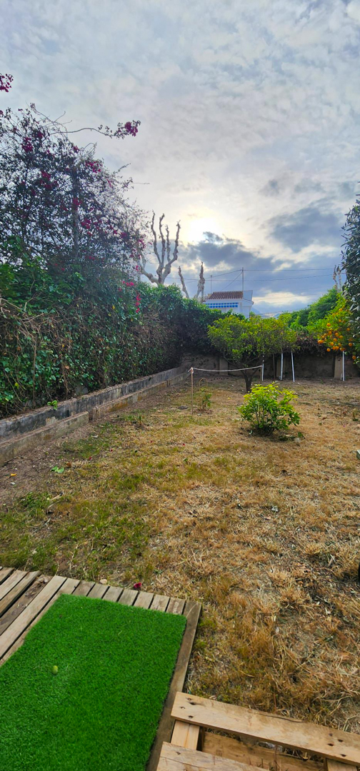 Jardin arrière avec terrain ouvert, arbres fruitiers et haie fleurie. Au premier plan, une base en bois avec gazon artificiel. Idéal pour personnaliser et ajouter une piscine.