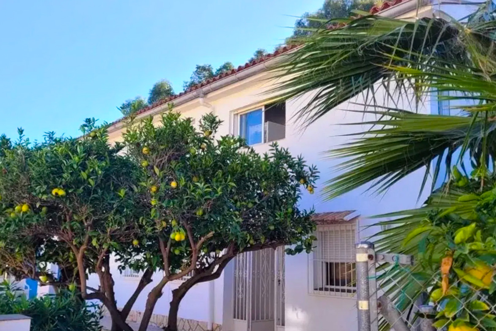 Vue extérieure de la villa, avec sa façade blanche et son toit en tuiles rouges. Des arbres fruitiers chargés d'agrumes jaunes et une fenêtre supérieure ouverte sont visibles sous un ciel azur.