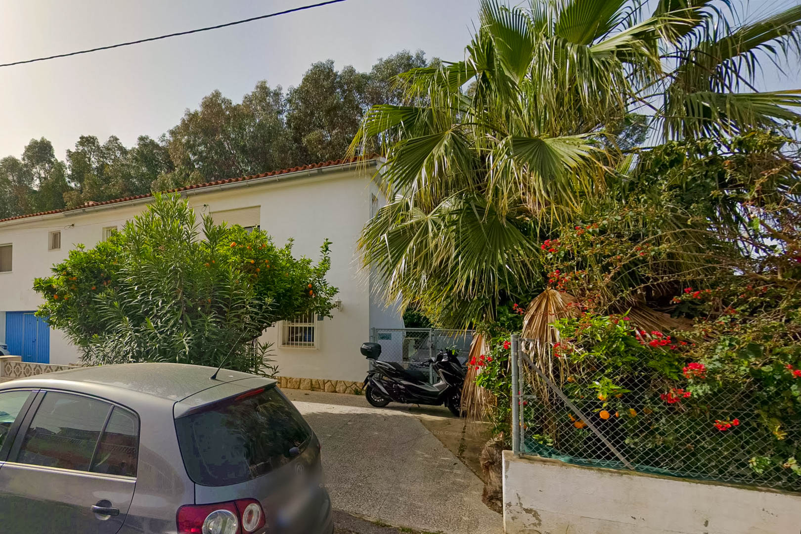 Vue extérieure de l'entrée pavée de la villa, avec un oranger chargé de fruits, un palmier et une végétation méditerranéenne luxuriante.