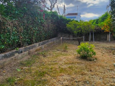 Vaste jardin avec arbres fruitiers matures et haies périphériques. Comprend une petite section de gazon artificiel sur palettes en bois, offrant un potentiel d'aménagement extérieur.