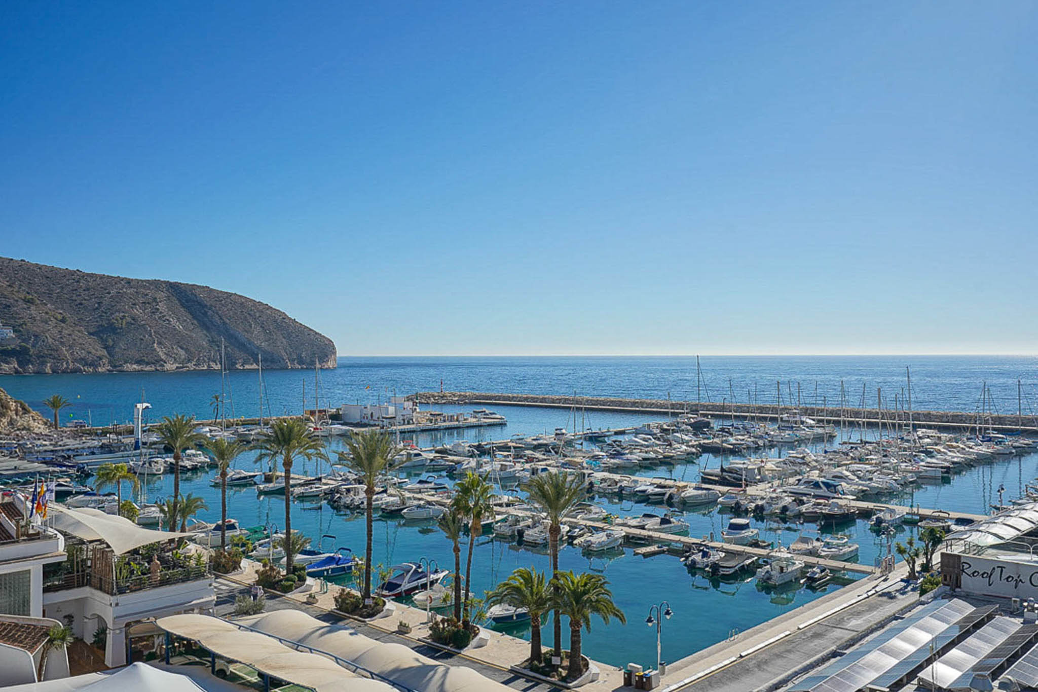 Vue panoramique sur une marina animée abritant de nombreux yachts et bateaux, bordée de palmiers et d'une mer turquoise. Un cap rocheux se profile à l'horizon.