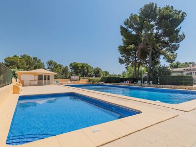 Vaste piscine commune avec un bassin pour enfants de 0,70m de profondeur, entourée de pins matures et d'un bâtiment de service, sous un ciel clair.
