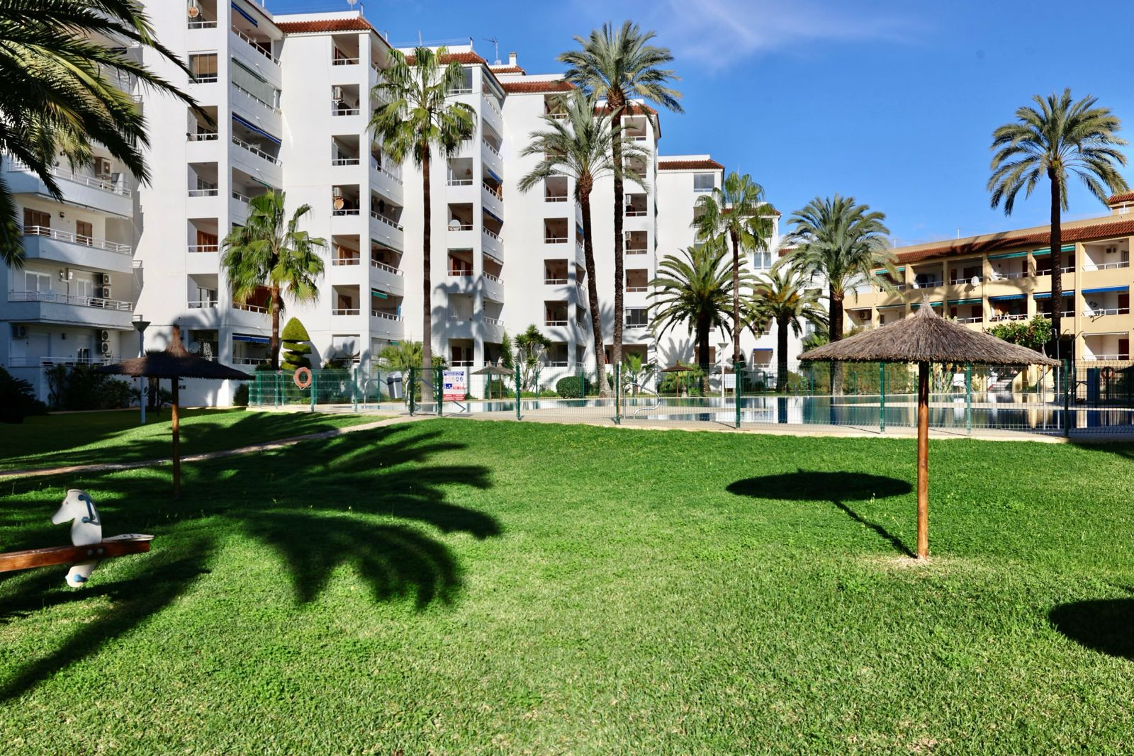 Vaste jardin commun avec pelouse verte, palmiers matures et parasols en paille. Des bâtiments résidentiels à balcons et une piscine clôturée sont visibles en arrière-plan.