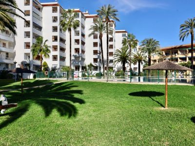 Vaste jardin commun avec pelouse verte, palmiers matures et parasols en paille. Des bâtiments résidentiels à balcons et une piscine clôturée sont visibles en arrière-plan.