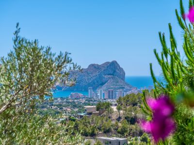Vue panoramique sur le Peñón de Ifach et la côte de Calpe, encadrée par la végétation méditerranéenne, avec des villas modernes sur la colline.