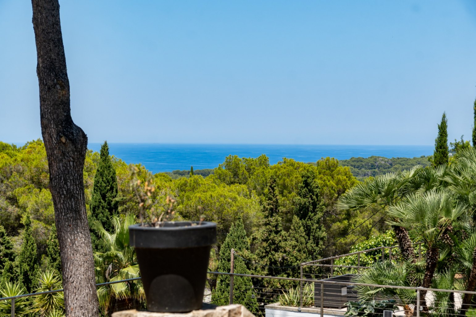 Vue panoramique sur la Méditerranée depuis la terrasse, avec un tronc d'arbre et un pot en premier plan, entourée d'une végétation luxuriante.