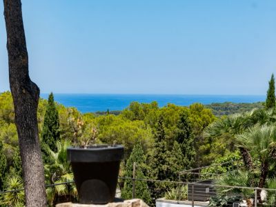 Vue panoramique sur la Méditerranée depuis la terrasse, avec un tronc d'arbre et un pot en premier plan, entourée d'une végétation luxuriante.