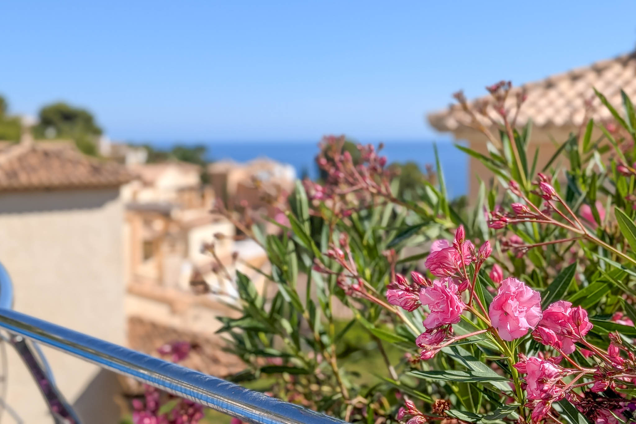 Gros plan sur des fleurs d'oléandre roses éclatantes et une balustrade métallique, avec des toits traditionnels et la mer Méditerranée en arrière-plan ensoleillé.