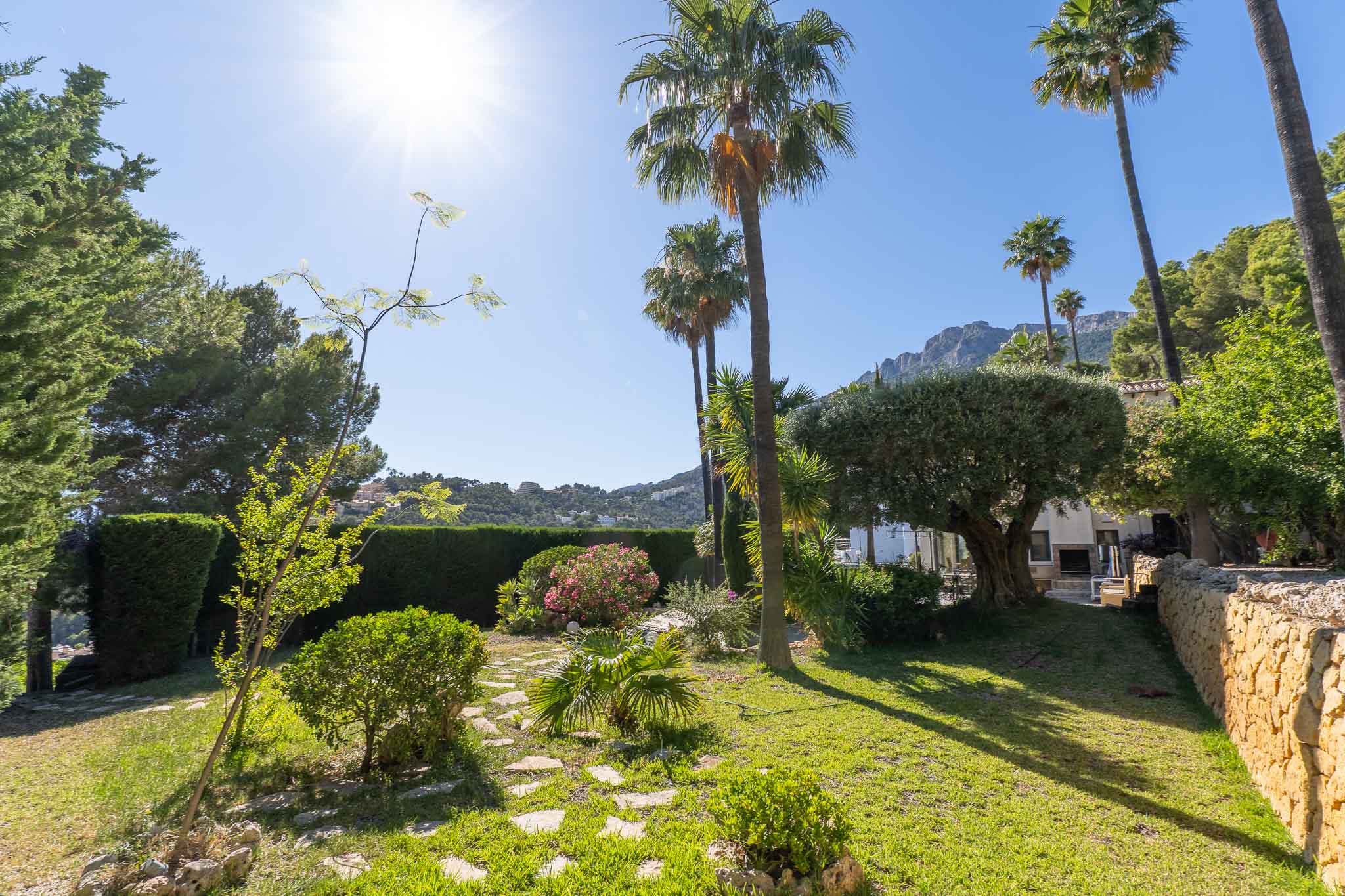 Jardin méditerranéen soigné avec pelouse verdoyante, chemin de dalles et palmiers matures sous le soleil éclatant. Un mur de pierre borde la verdure.