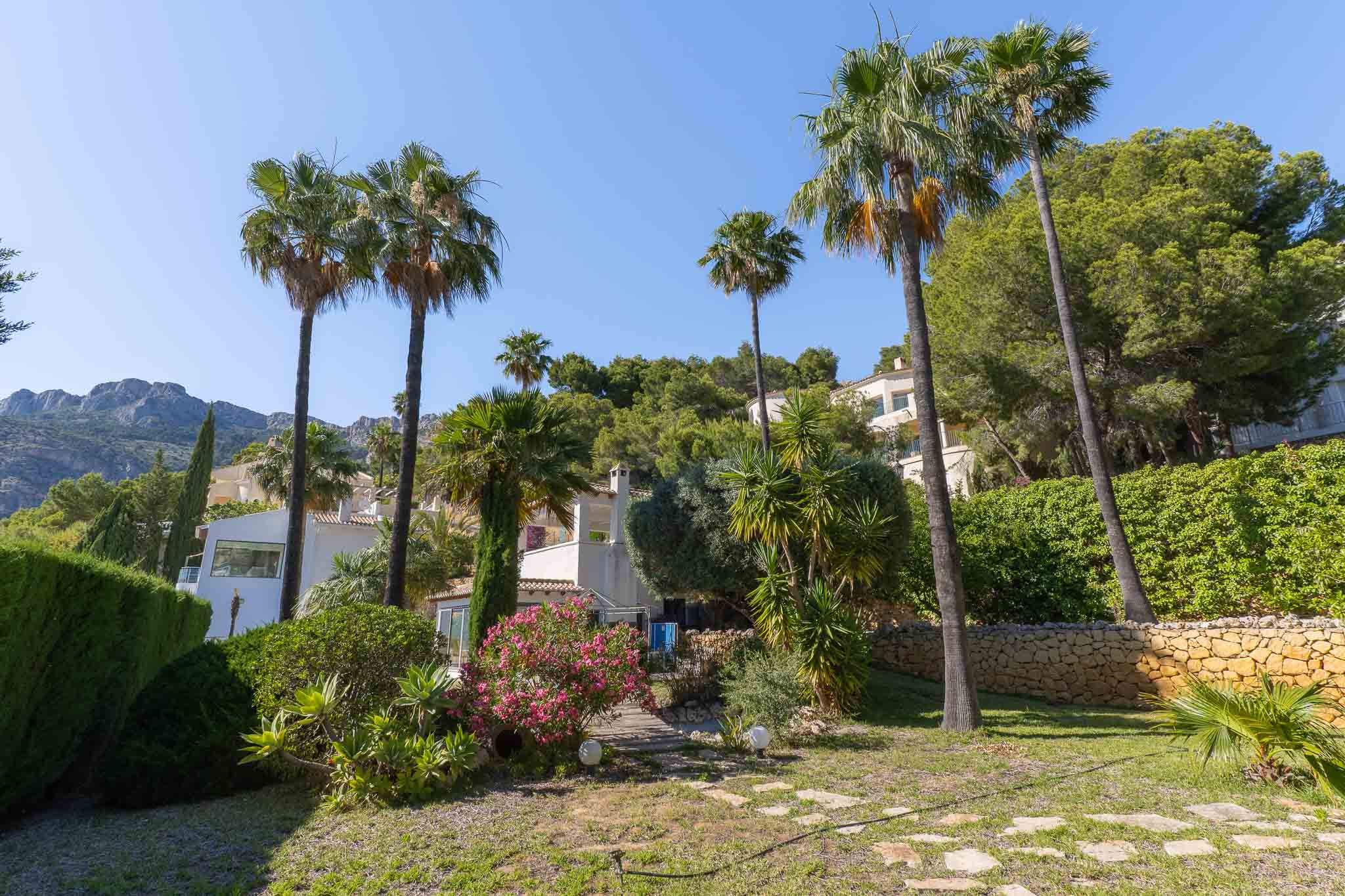 Le jardin paysager plat offre un chemin de pierre, des palmiers matures, des bougainvilliers éclatants et des agaves, encadré par des collines verdoyantes et des montagnes lointaines.