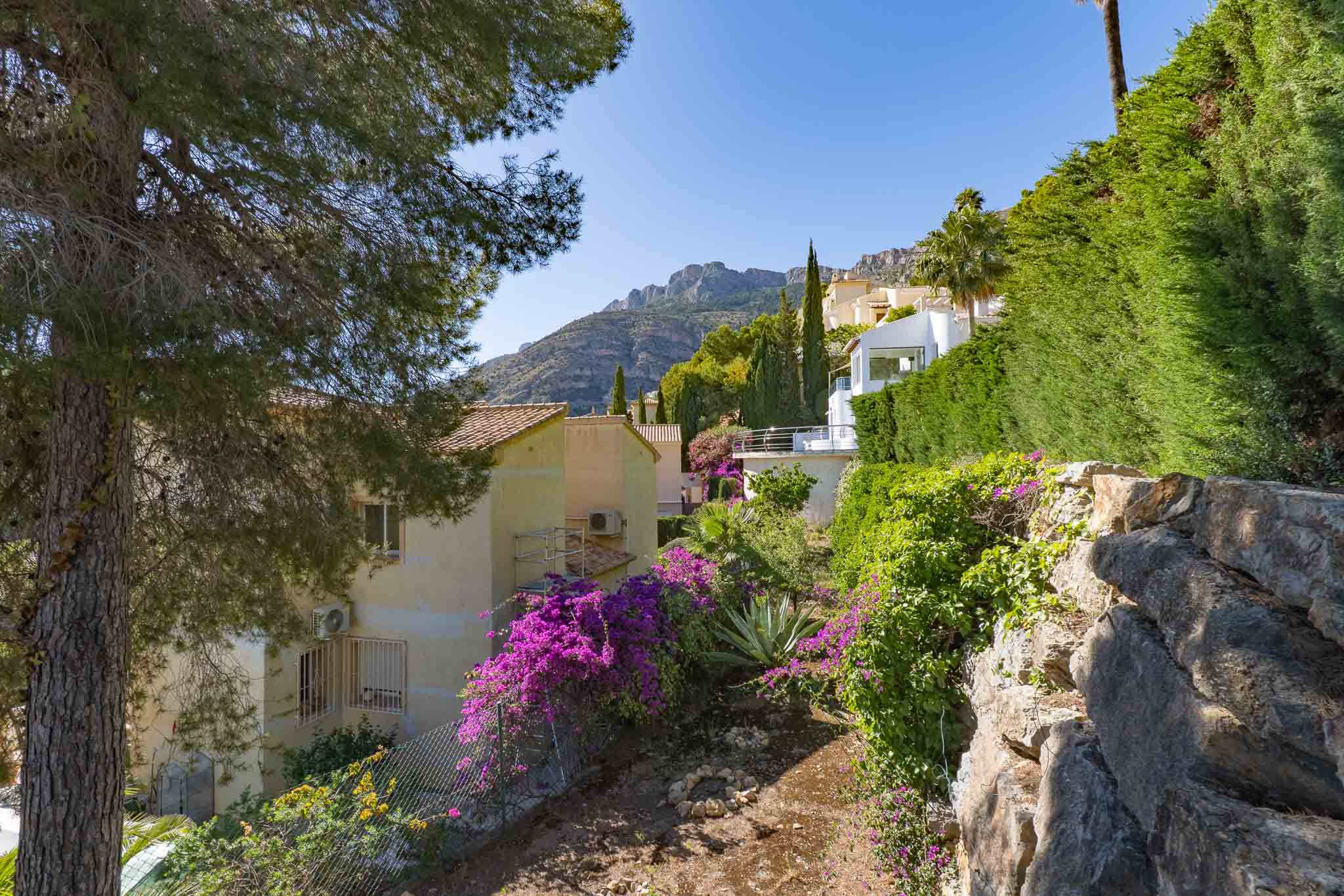 Vue extérieure de la propriété avec un pin au premier plan, jardin en terrasses orné de bougainvilliers violets et montagnes lointaines sous un ciel clair.