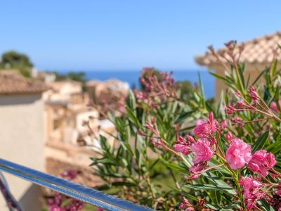 Gros plan sur des fleurs d'oléandre roses éclatantes et une balustrade métallique, avec des toits traditionnels et la mer Méditerranée en arrière-plan ensoleillé.