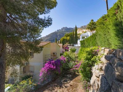 Vue extérieure de la propriété avec un pin au premier plan, jardin en terrasses orné de bougainvilliers violets et montagnes lointaines sous un ciel clair.