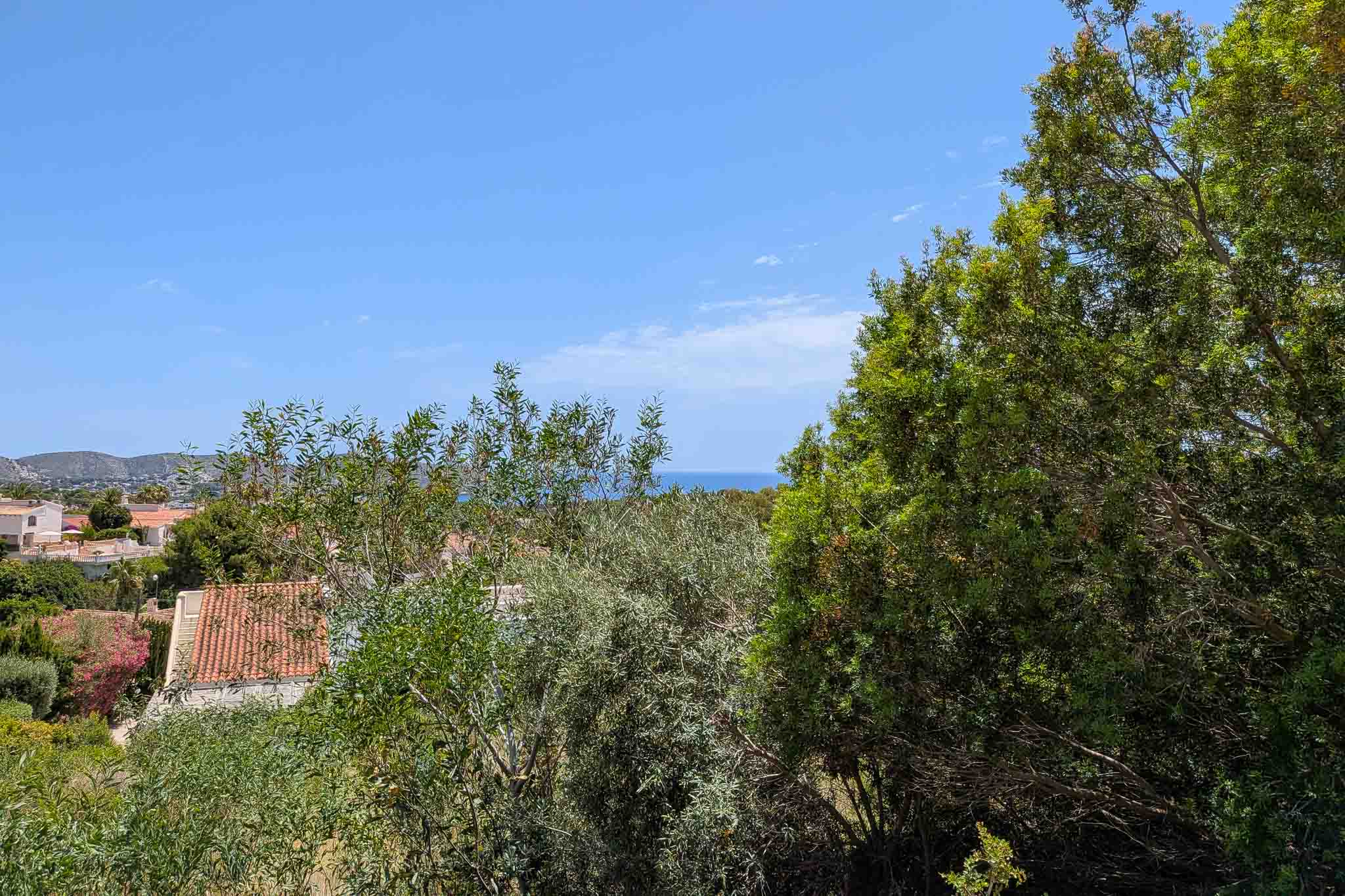 Vue panoramique depuis la parcelle, avec une végétation méditerranéenne luxuriante au premier plan, des toits résidentiels et la mer Méditerranée à l'horizon sous un ciel clair.