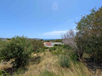 Vaste terrain avec végétation naturelle et vues lointaines sur la mer sous un ciel bleu clair. Des toits résidentiels sont visibles au second plan, encadrés par des arbustes verts et secs.