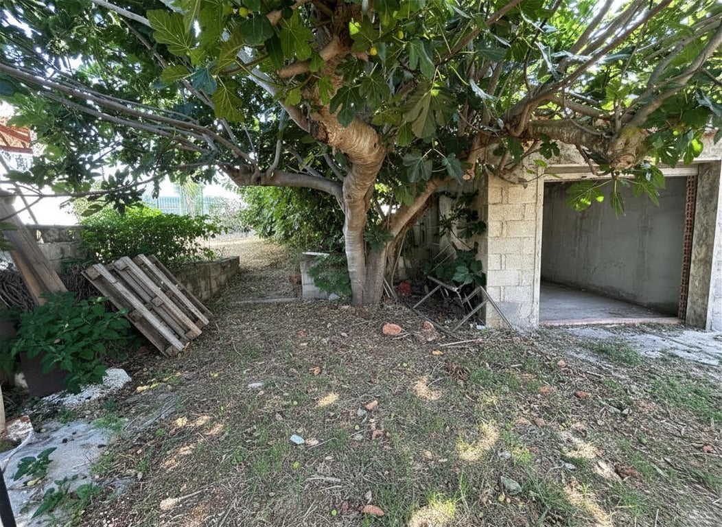 Jardin arrière avec un figuier mature et un garage annexe inachevé en blocs de béton, présentant le potentiel de rénovation de cet espace extérieur. Jardin arrière avec un figuier mature et un garage annexe inachevé en blocs de béton, présentant le potentiel de rénovation de cet espace extérieur.