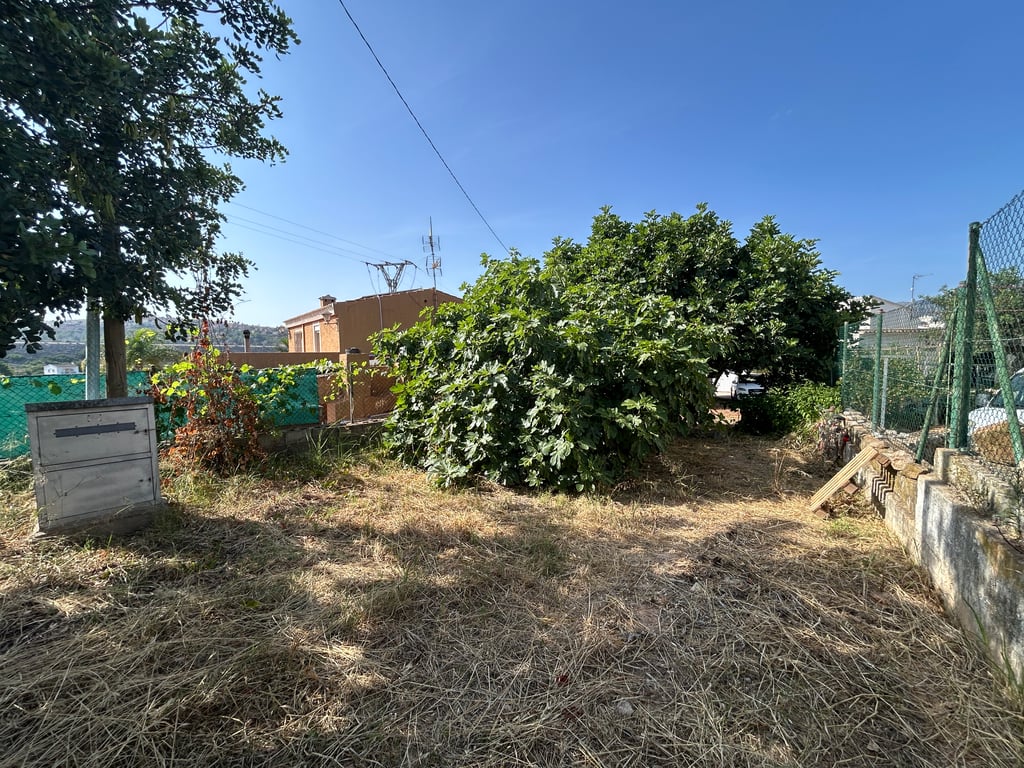 Vue du jardin privé avec herbe sèche, un grand figuier feuillu et un muret en béton. Un boîtier de services et une clôture grillagée sont visibles, avec une maison en arrière-plan. Vue du jardin privé avec herbe sèche, un grand figuier feuillu et un muret en béton. Un boîtier de services et une clôture grillagée sont visibles, avec une maison en arrière-plan.