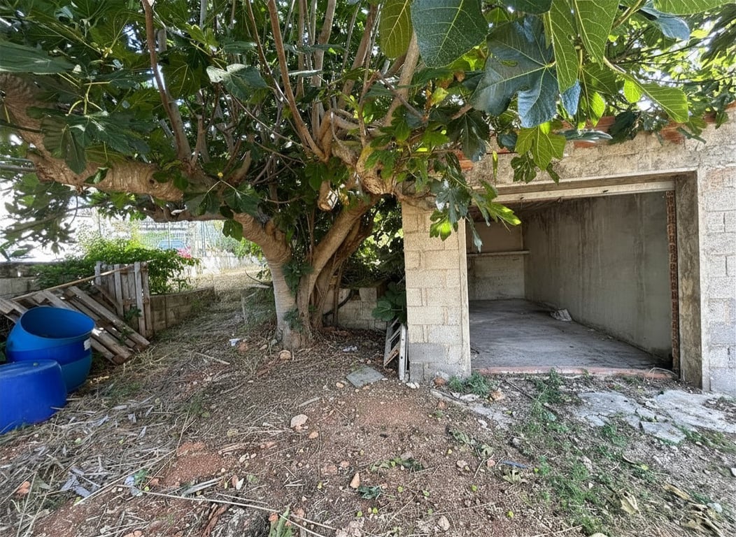 Vue extérieure du garage indépendant inachevé, avec des murs en blocs de béton et des briques apparentes. Un grand figuier apporte une ombre naturelle sur le terrain rustique. Vue extérieure du garage indépendant inachevé, avec des murs en blocs de béton et des briques apparentes. Un grand figuier apporte une ombre naturelle sur le terrain rustique.