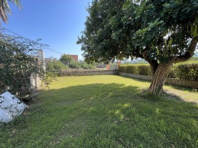 Grand jardin privé avec pelouse inégale et un grand arbre mature offrant de l'ombre naturelle. Entouré d'un mur en pierre et de haies, idéal pour l'aménagement.