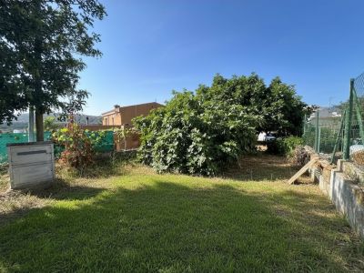 Jardin arrière avec pelouse et végétation mature, dont un grand arbre feuillu. Un mur d'enceinte et un bâtiment traditionnel sont visibles à l'arrière-plan.